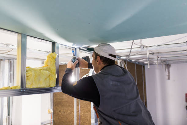 Best Insulation Repair Services  in Roslyn Estates, NY