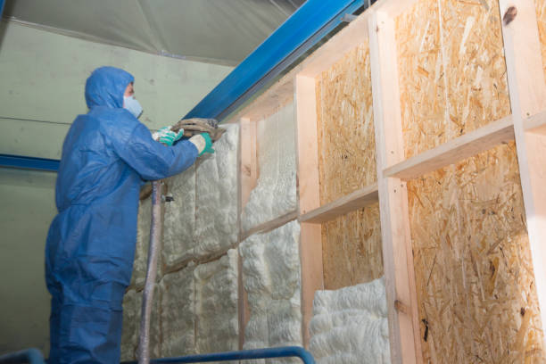 Best Cellulose Insulation  in Roslyn Estates, NY