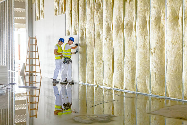 Best Fiberglass Insulation  in Roslyn Estates, NY